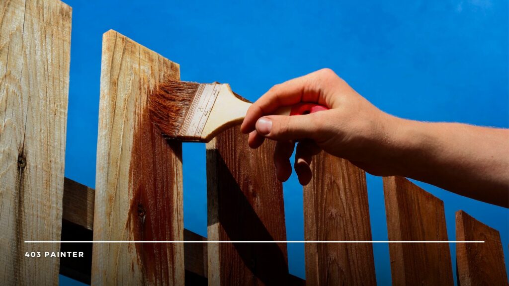 stain a wood fence